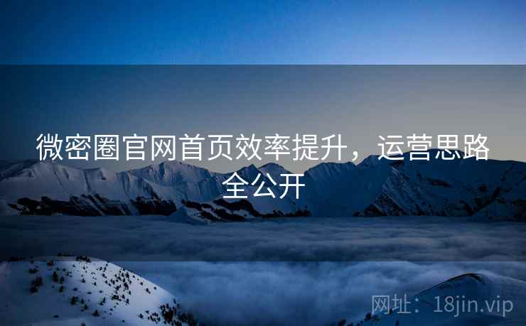 微密圈官网首页效率提升，运营思路全公开